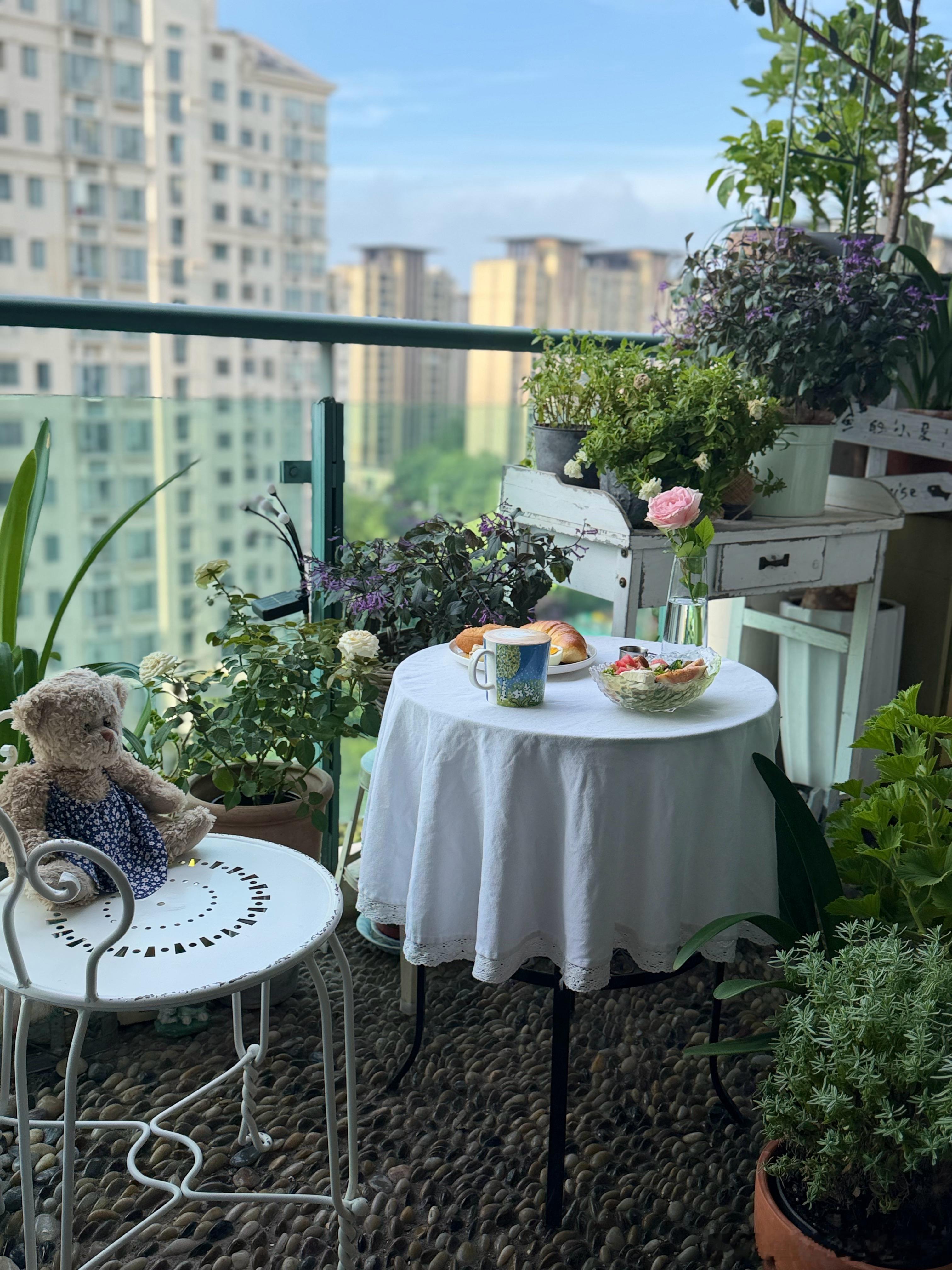 不上班的周二选一个珍贵杯也是真贵杯Arabia鲜花兔很多人问我怎么会日常如此愉悦