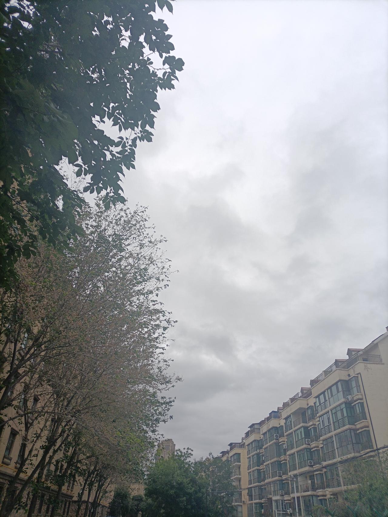 随着一股冷空气的到来，我仿佛感觉到了自己进入到了冬天。早晨起来，天空乌云密布，气