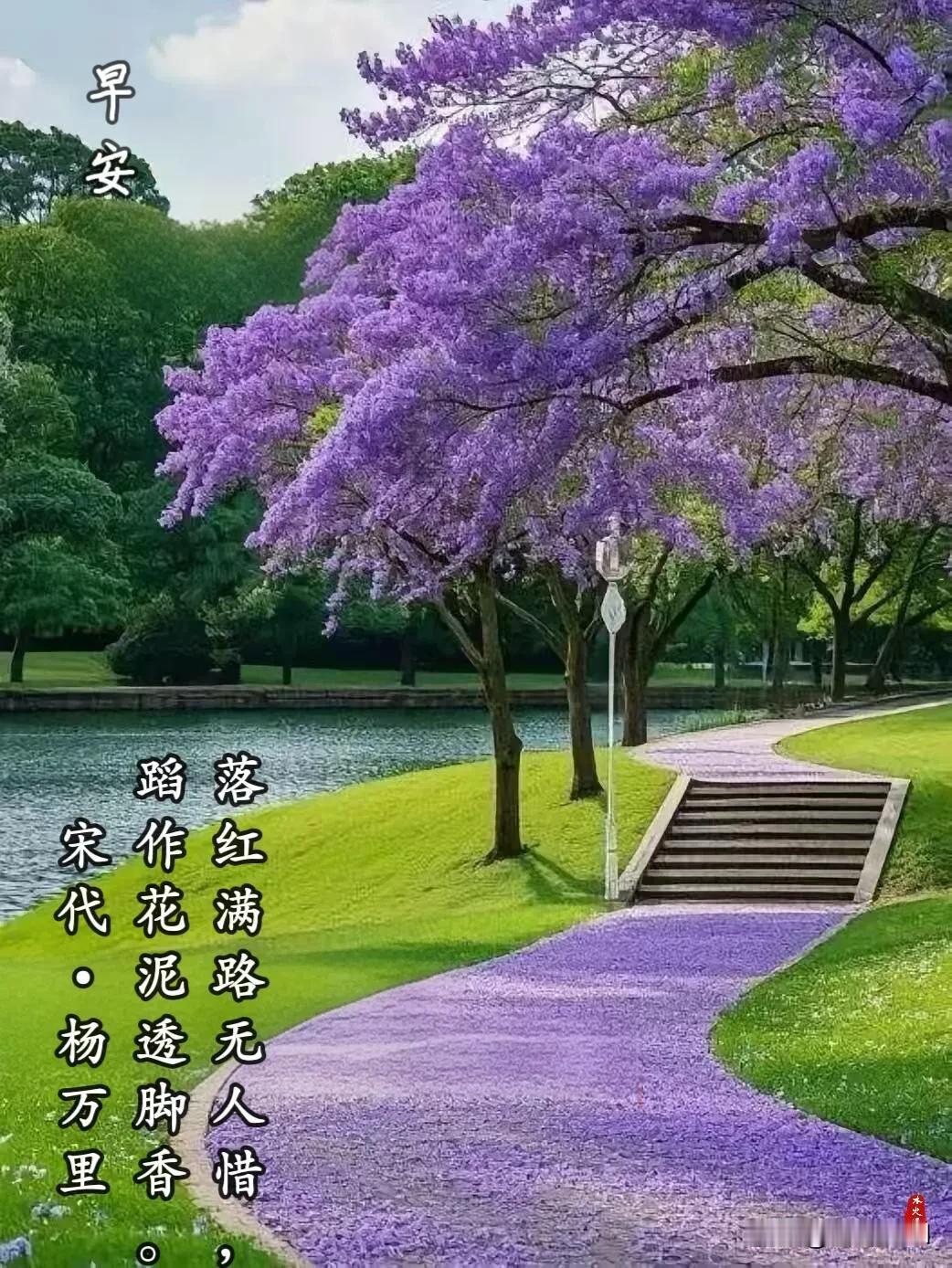 清晨一份问候，愿你一天无忧无虑，开心常在。