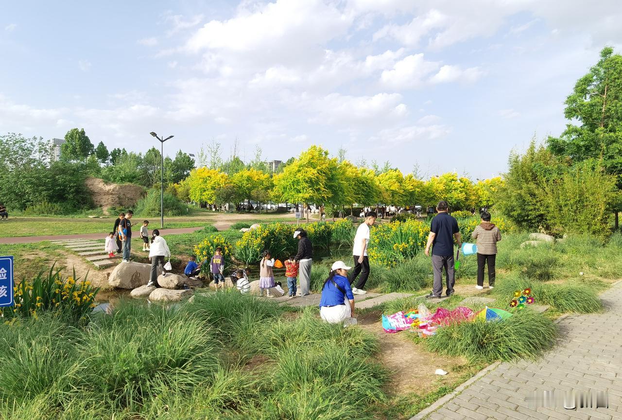 今日天气晴朗，杨凌渭河湿地公司热闹非凡！许多人在此休闲露营。一些人正惬意地烧烤，