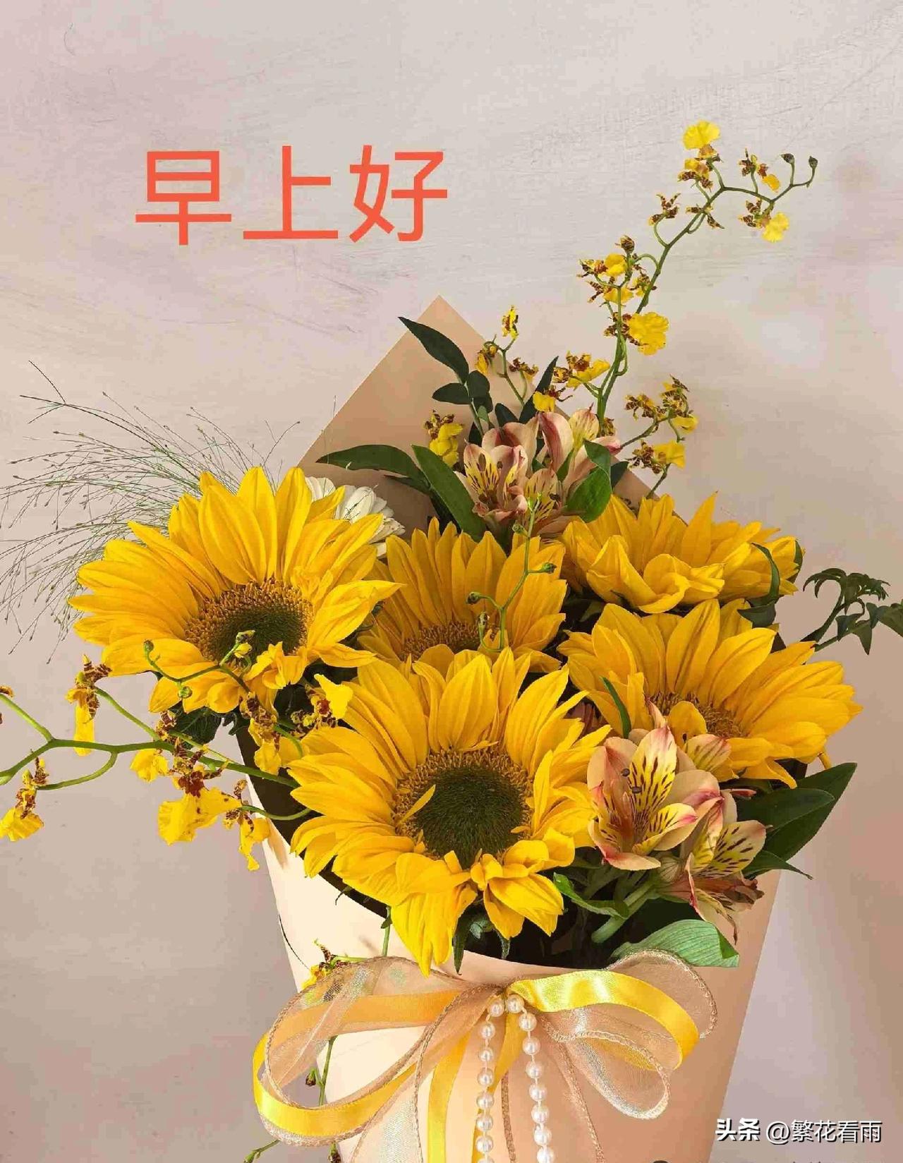 每一个清晨，都是新的起点。
别让生活耗尽你所有的向往，
不负自己，不负岁月！
早