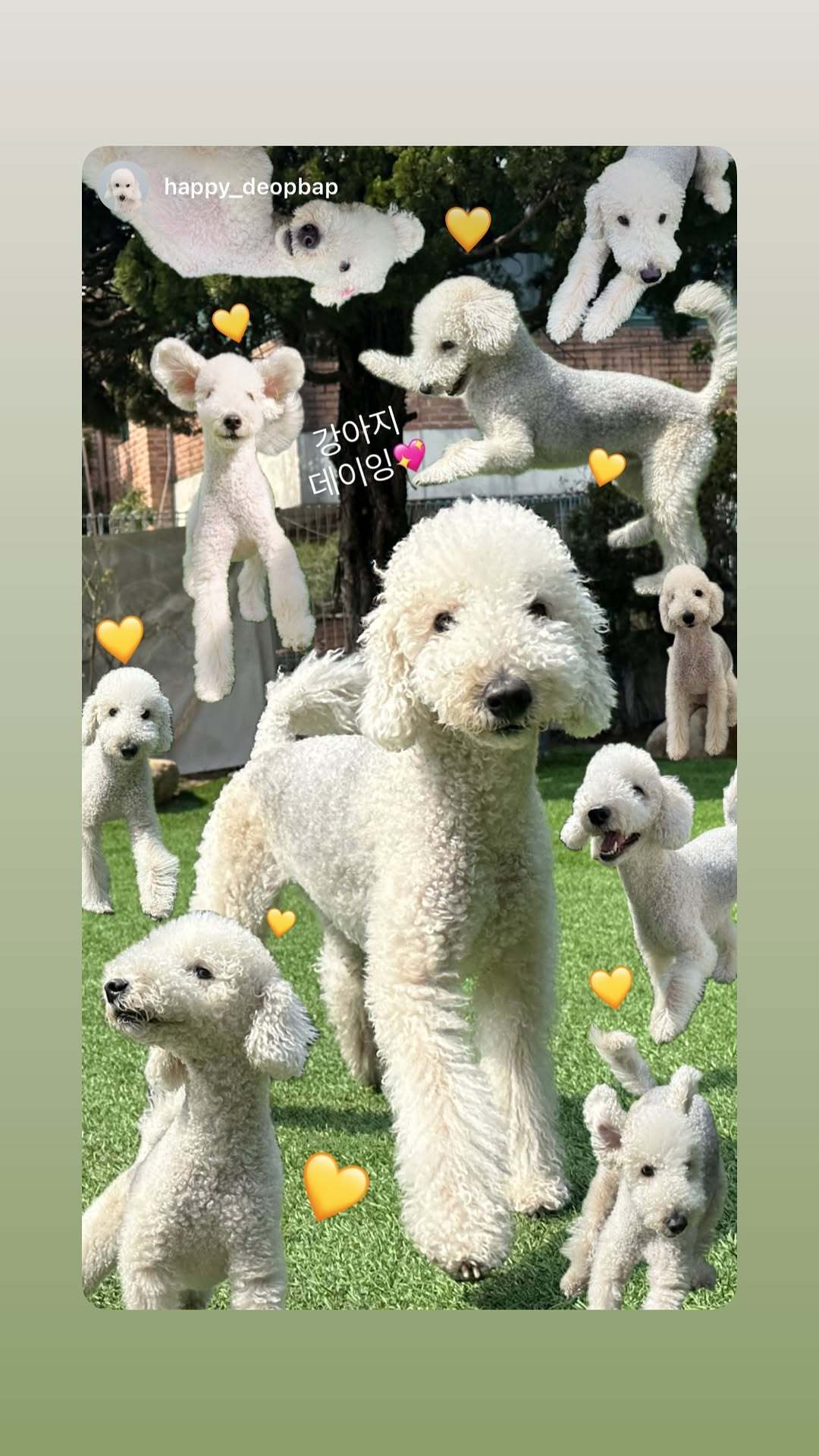 “CB百蓝_。260323申东熙 ins story更新两则： 