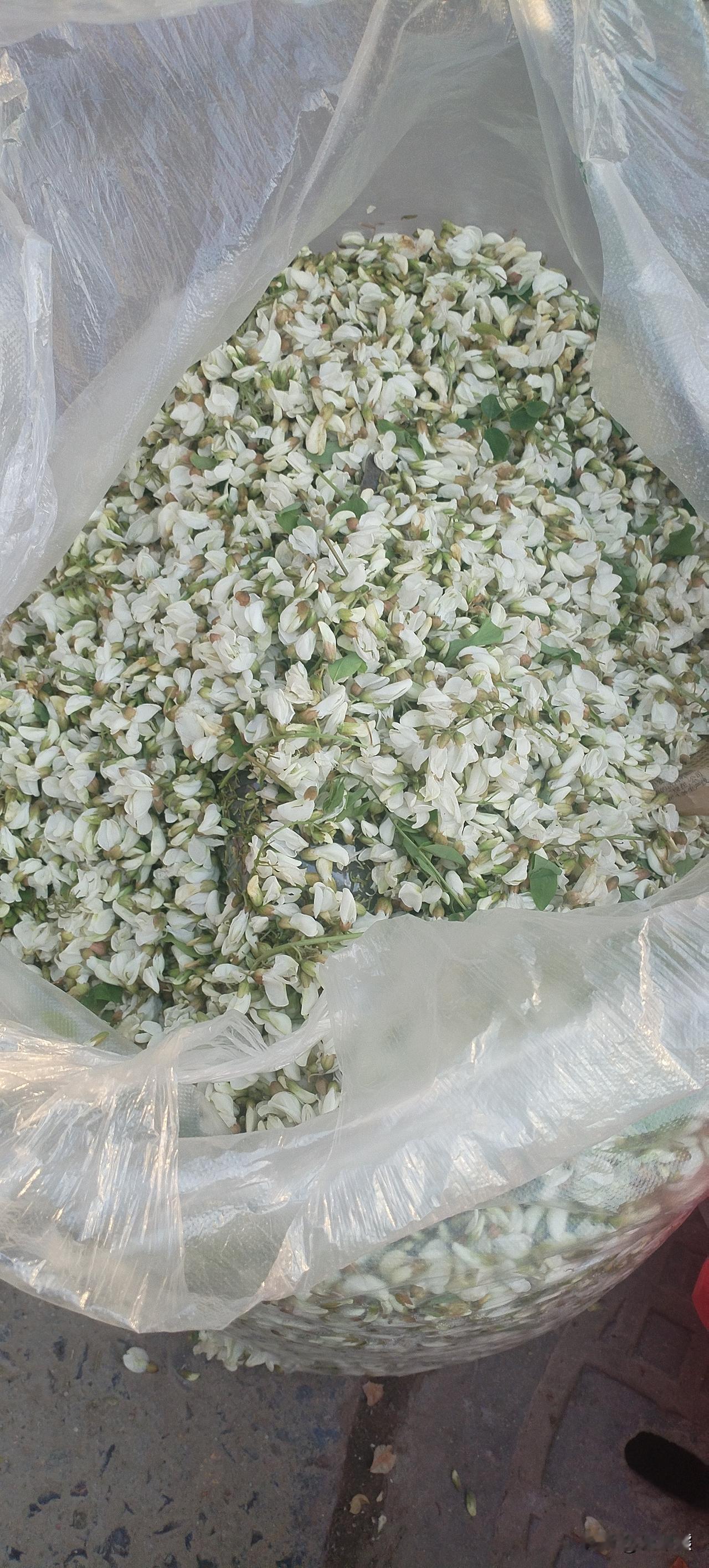 出来工作，能力比学历更重要！
首先学历只是个敲门砖，能力是一个衡量一个人的综合实