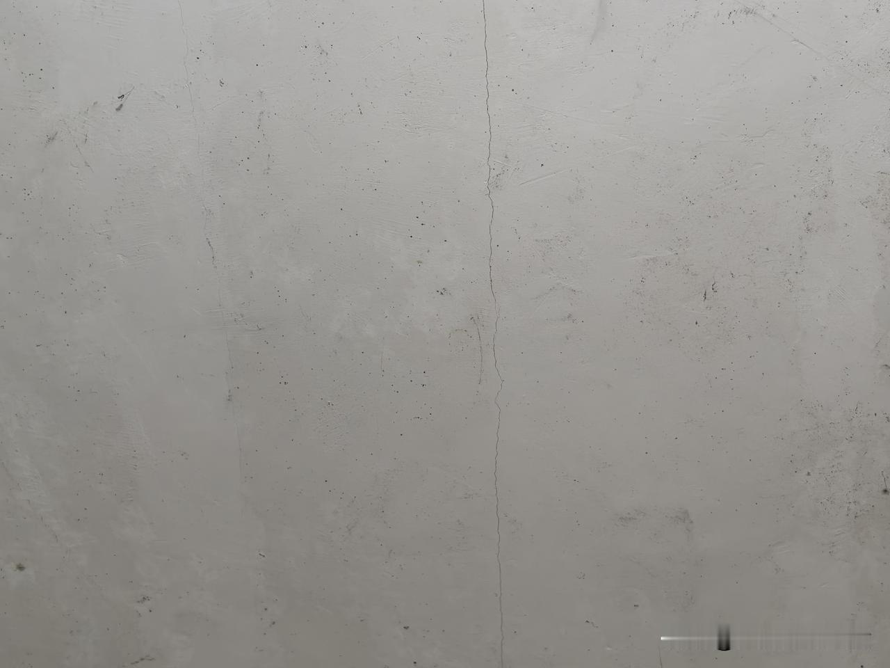 芦山地震以后，我们村里向上级部门申请，把紧挨着村小学那片地用来修建小区。凡是村子