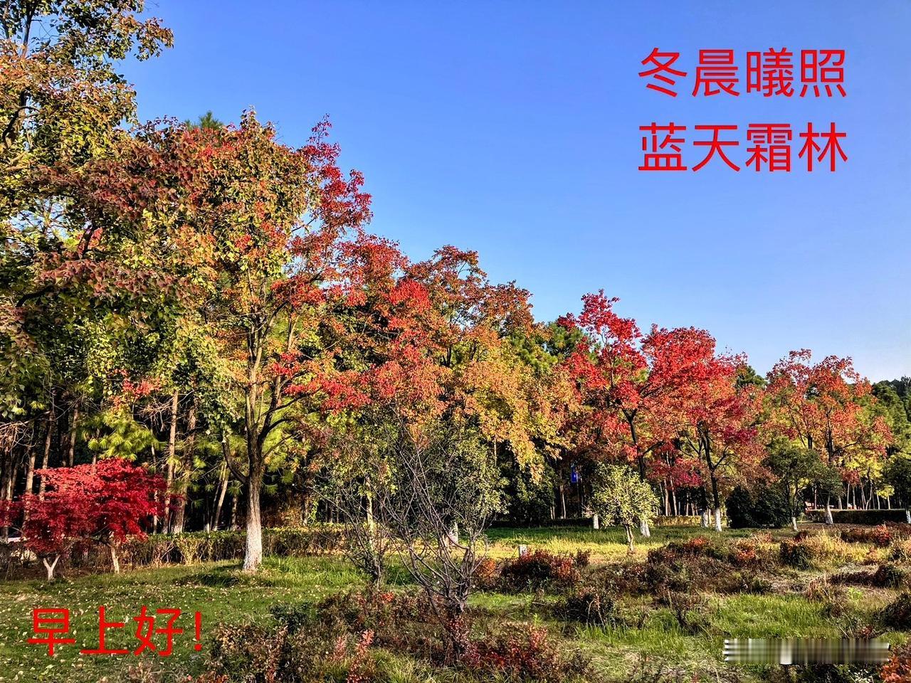 一路山色，随手拍一张风景照