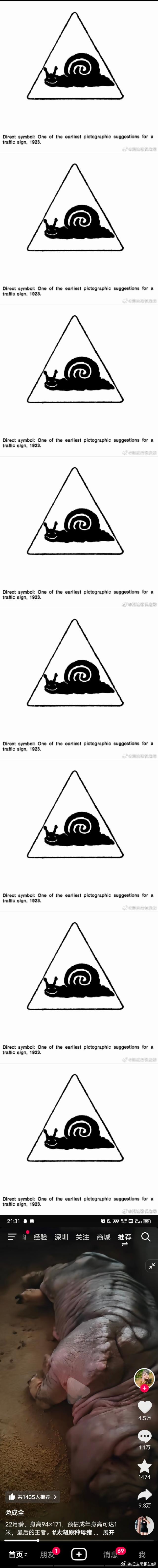 【猪】刷抖看到的猪。。。 