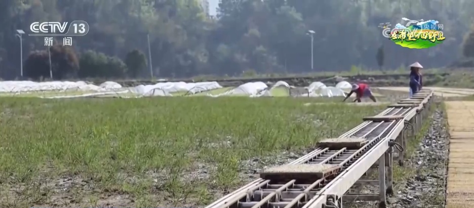 数智农具不断“上新”、网络成为“新农资” 智慧农业为乡村插上