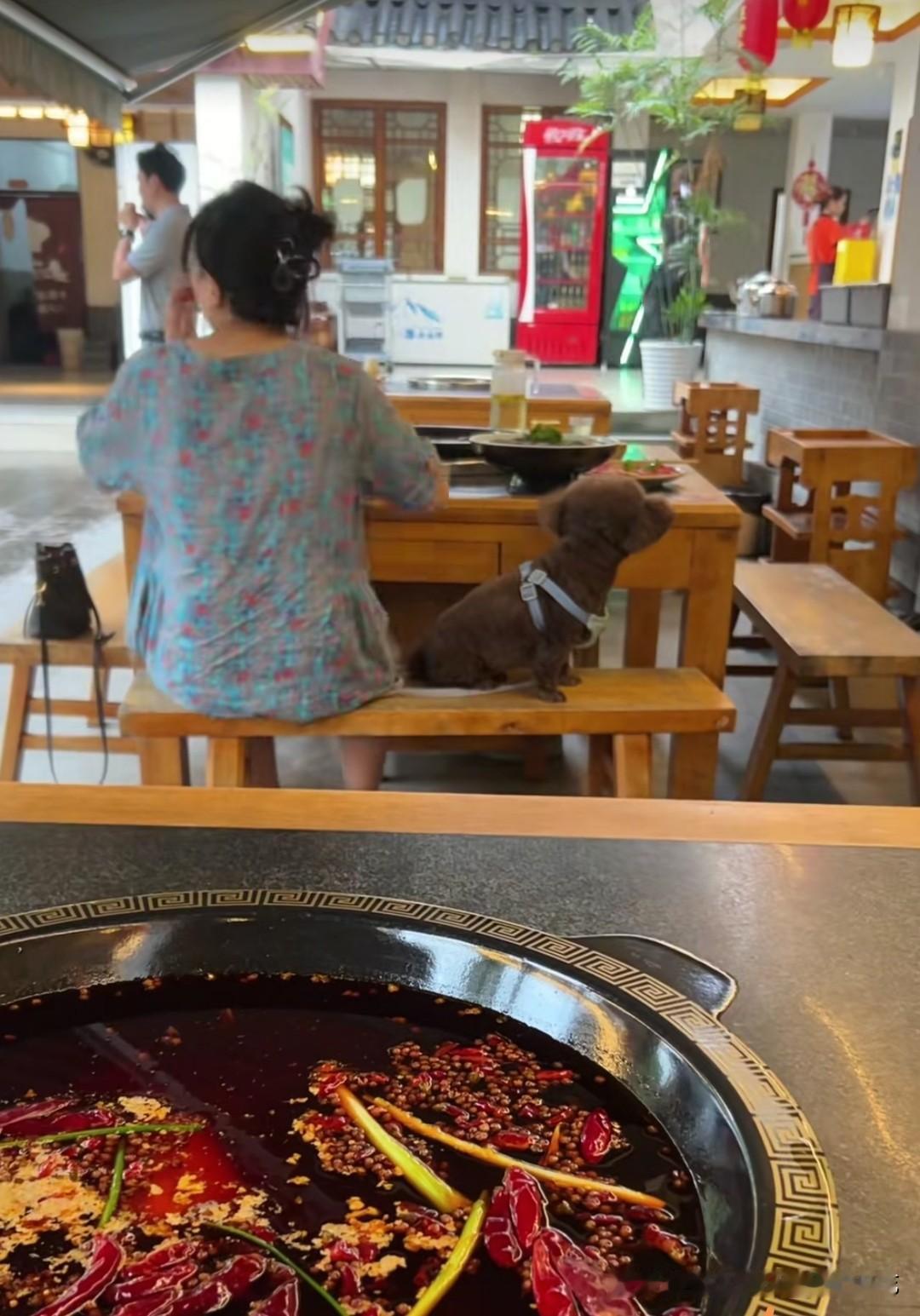 成都的朋友知道这是哪家火锅店吗？就是金马邮政边上的那家火锅店，据说这家店的差评有