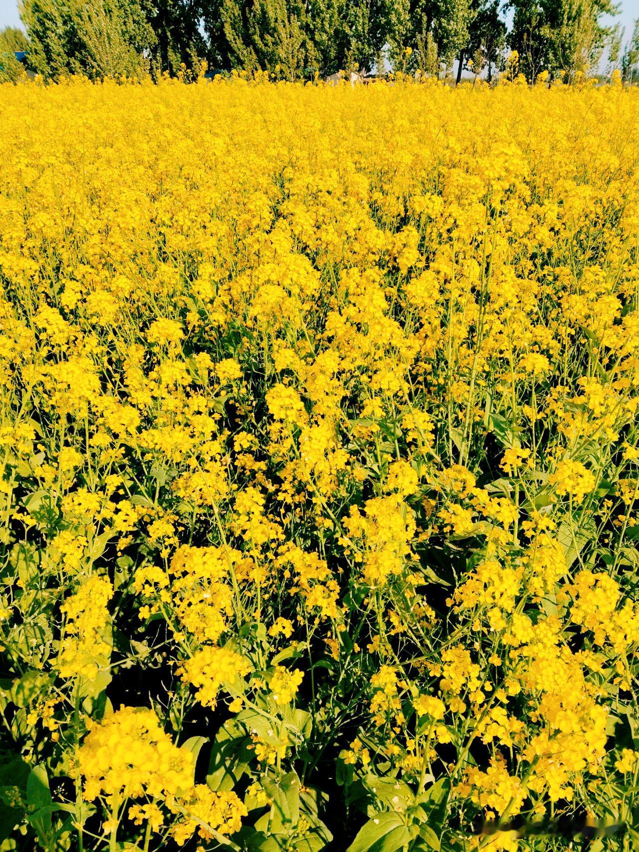 人的一生为人处世，成功与否达到什么程度，这与一个人的品质息息相关。
    一