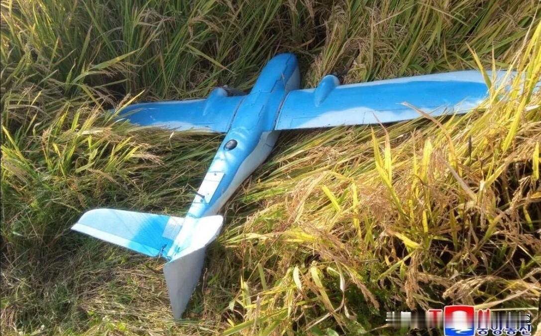 【韩无人机入侵朝方事件基本查清】
    韩媒18日报道，韩方军警联合调查组已锁