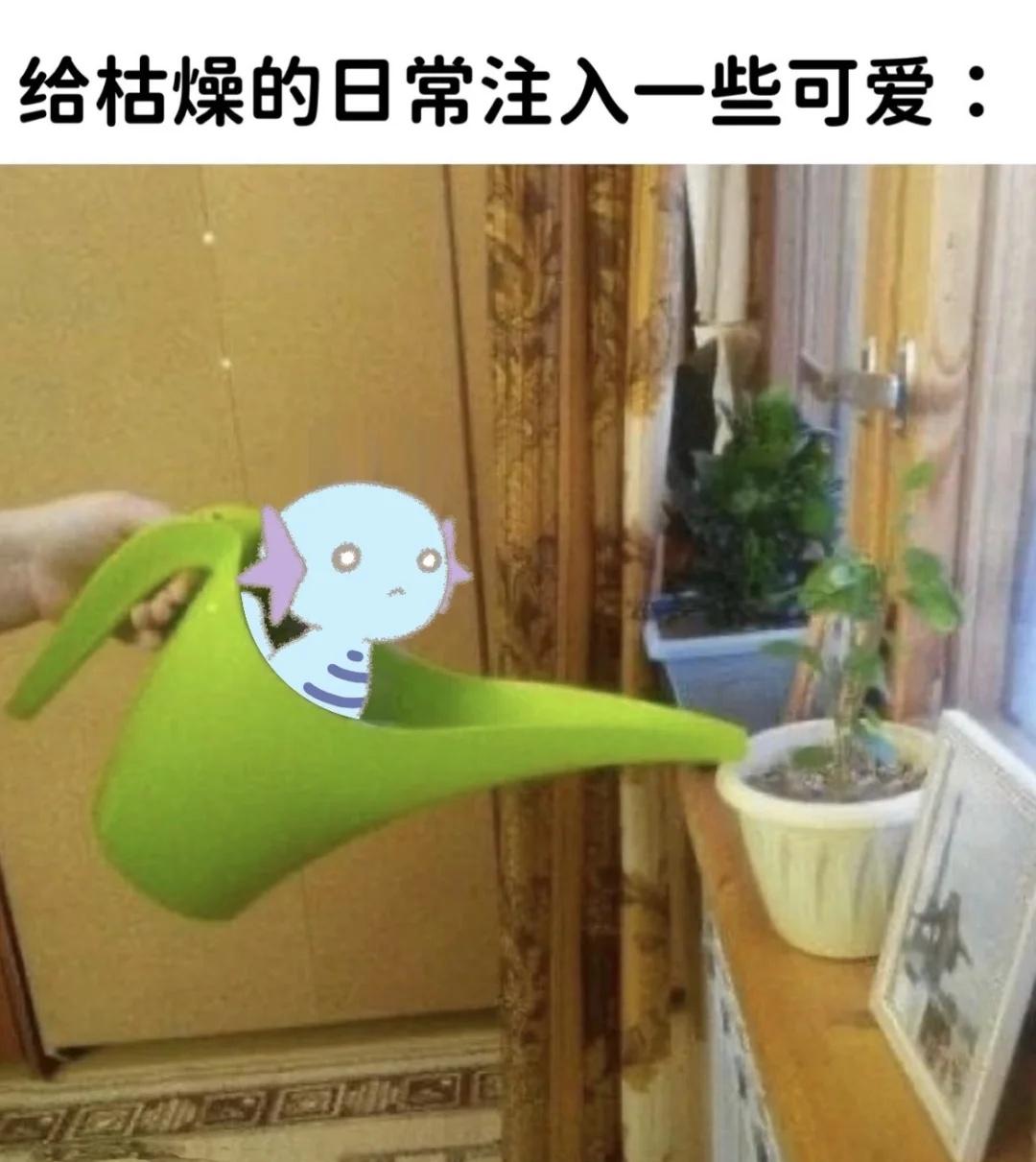 浇水波
宝可梦 乌波 宝可梦同人 meme 梗图 水 浇水