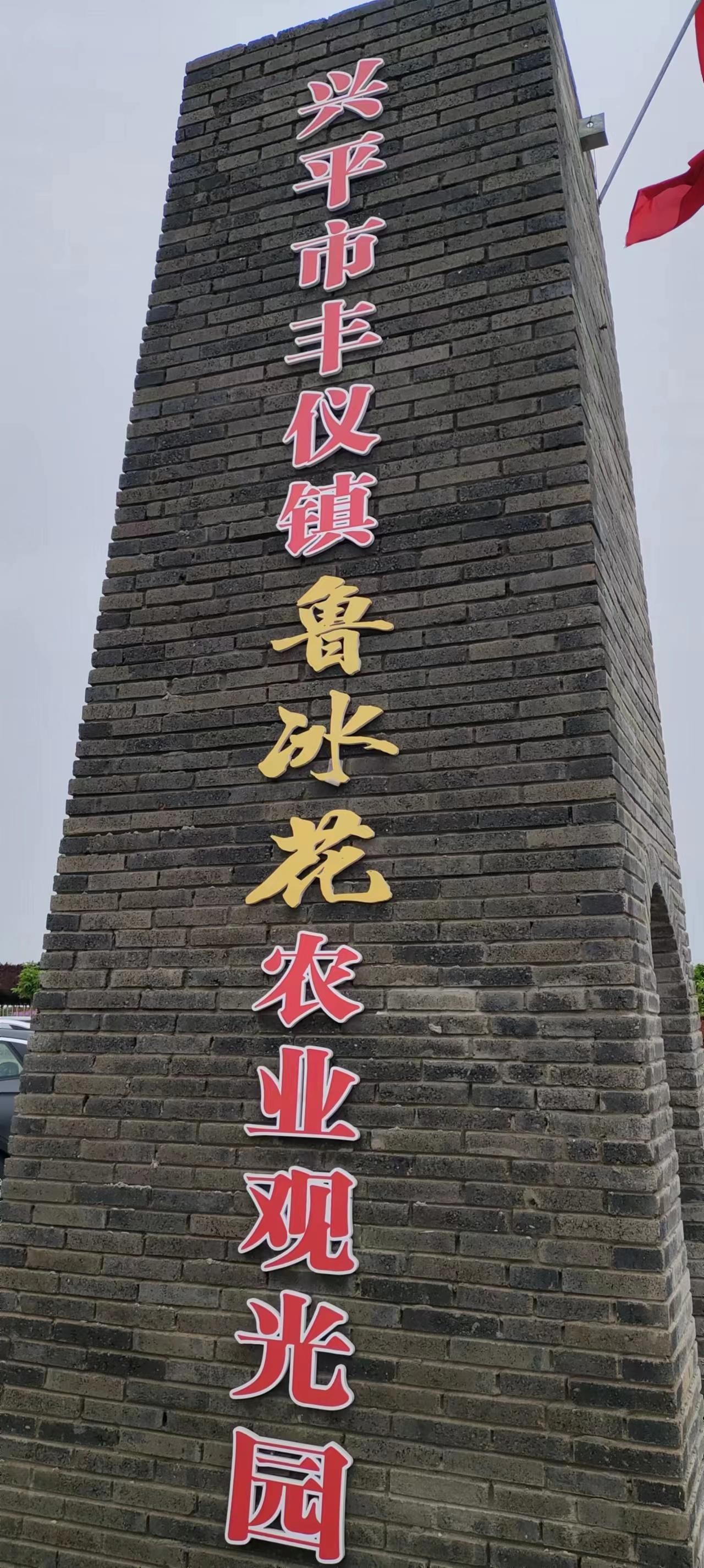 你若盛开清风自来
