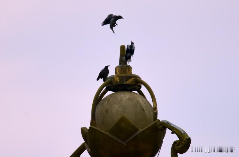 谁说恋爱就一定得风平浪静？其实，有些星座在爱情里总是容易吃醋，嫉妒心那可是杠杠的