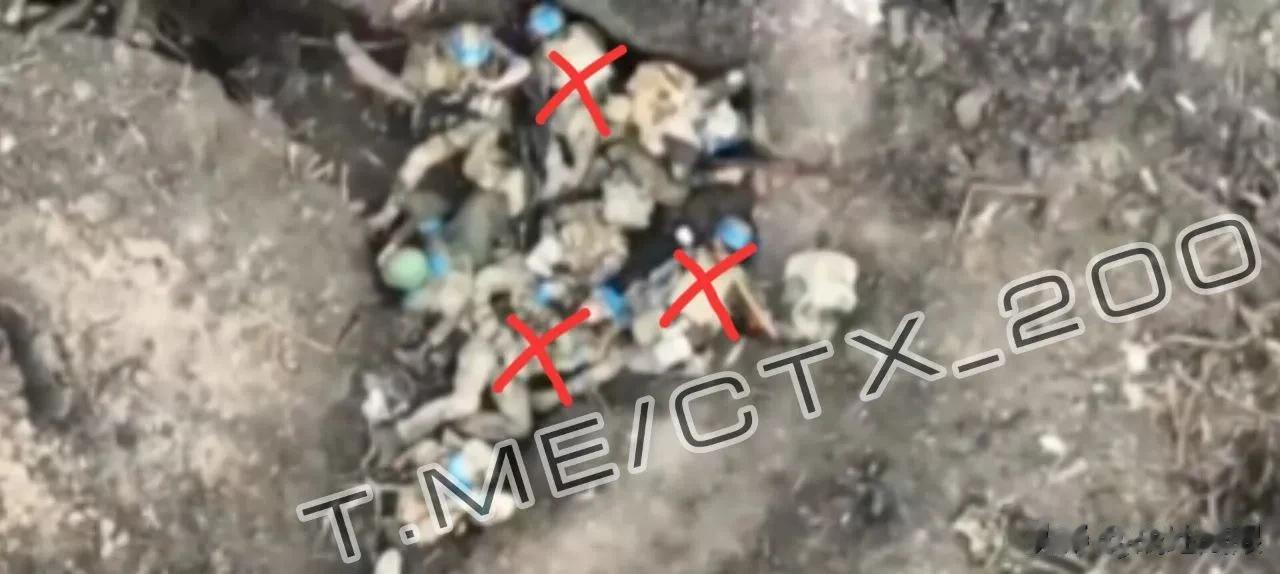 🇺🇦乌克兰人并不需要武器，他们需要援助，需要食物，需要药品。但是这些都没有得
