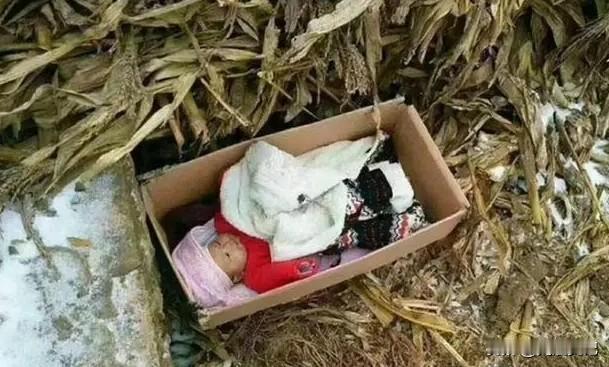 生育之恩与养育之恩，究竟孰大孰小？这一问题向来难有定论。然而，河南女孩张白鸽却坚