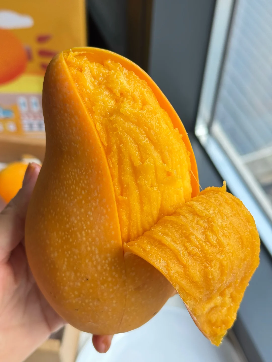 你还在买假的金煌芒吃吗，别再被欺骗了！