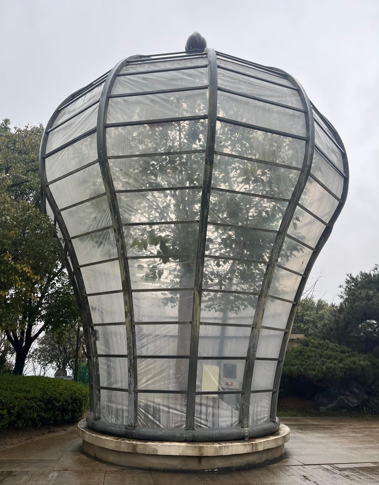 有人能看出来这是什么树吗？
坐标☜南京的牛首山公园
看这保护的规格就知道这树不一