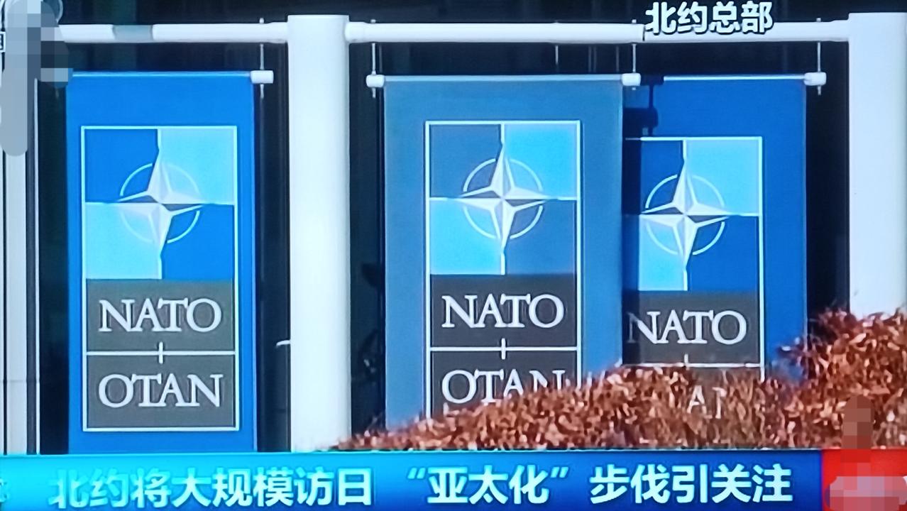 北约中即将有约30名成员国的代表访问日本，既有与日本搞好关系去迎合或间接讨好美国