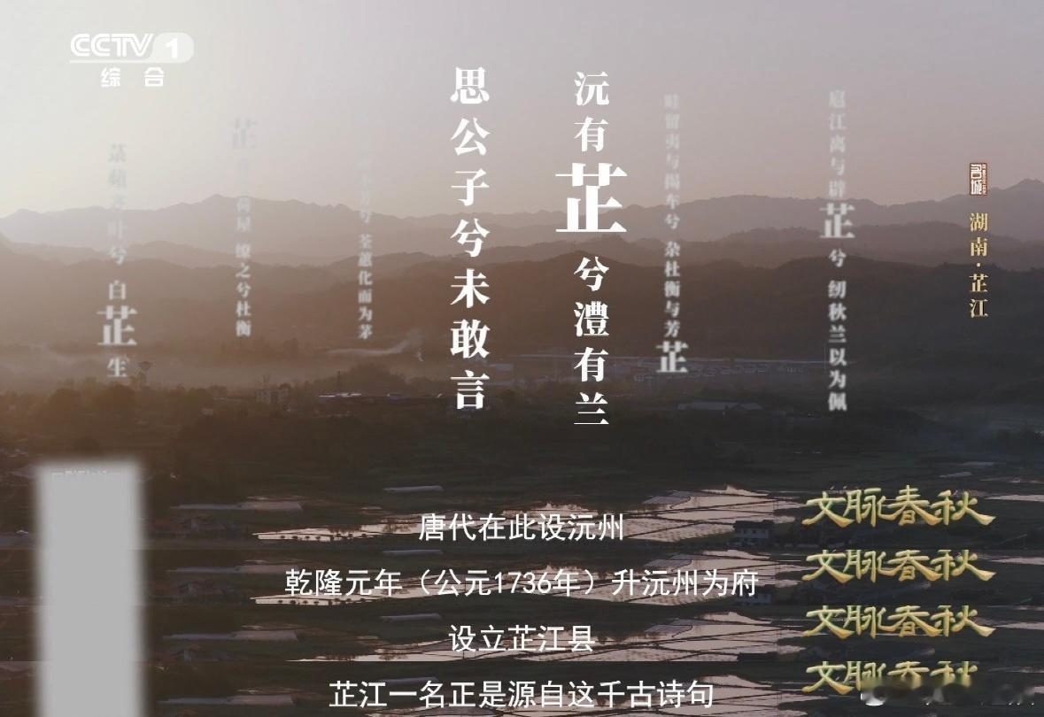 不起眼的小草是湖南灵魂香料湖南有座城因屈原诗句得名 从屈原的诗到芷江的锅，中间隔