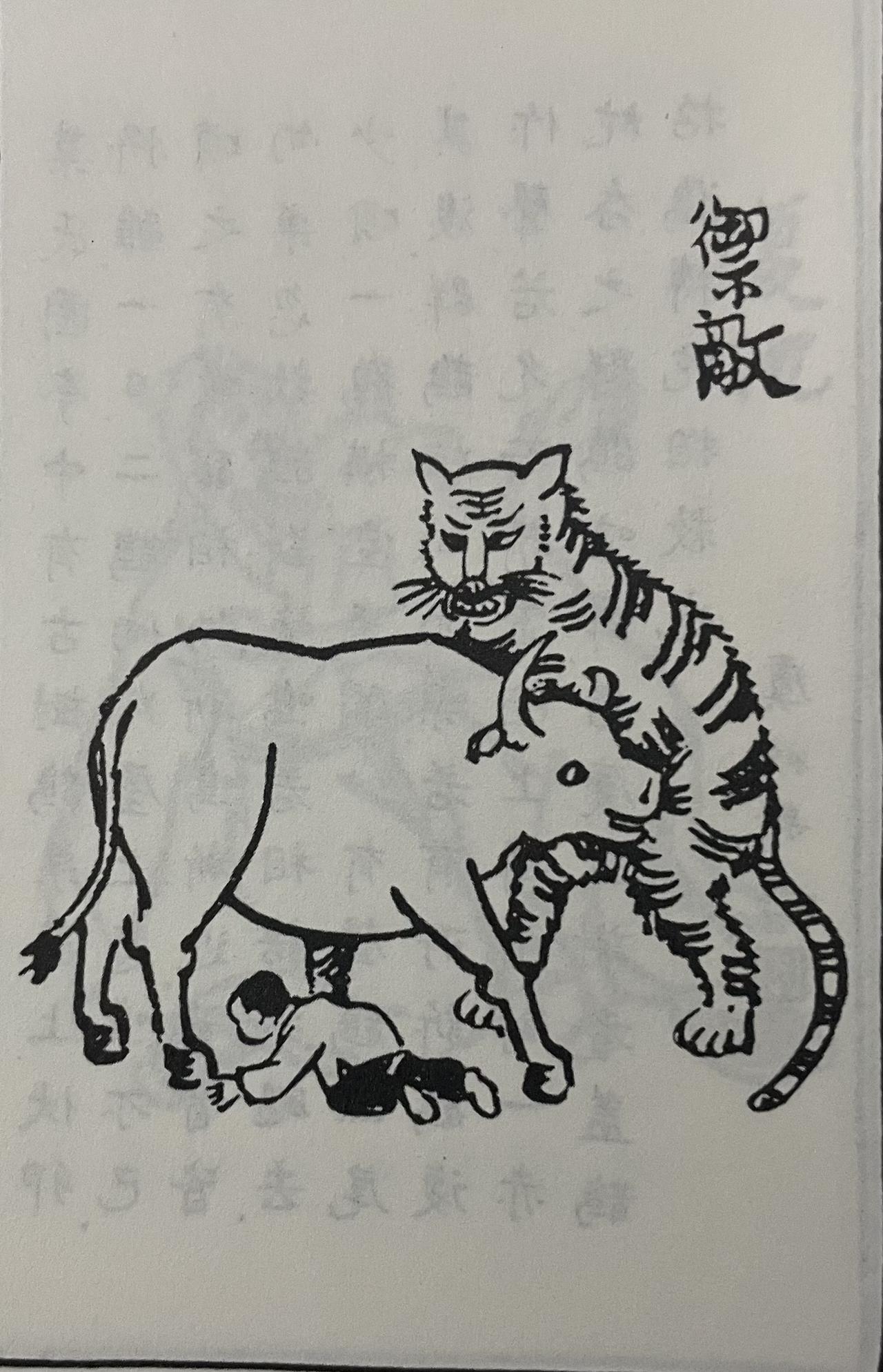 义牛救主，感人至深！为救小主人，它不惜与猛虎搏命

古时候，有个盛氏小孩在放牛时