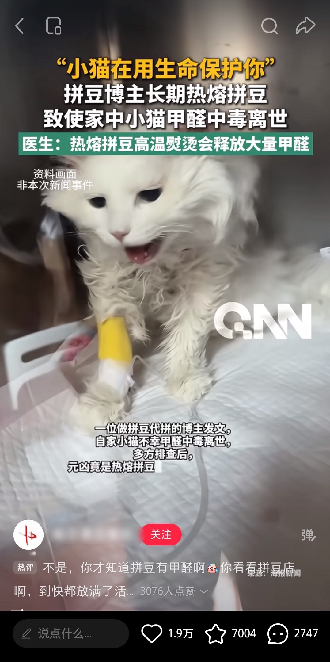 【】问过小猫了吗就自我感动 