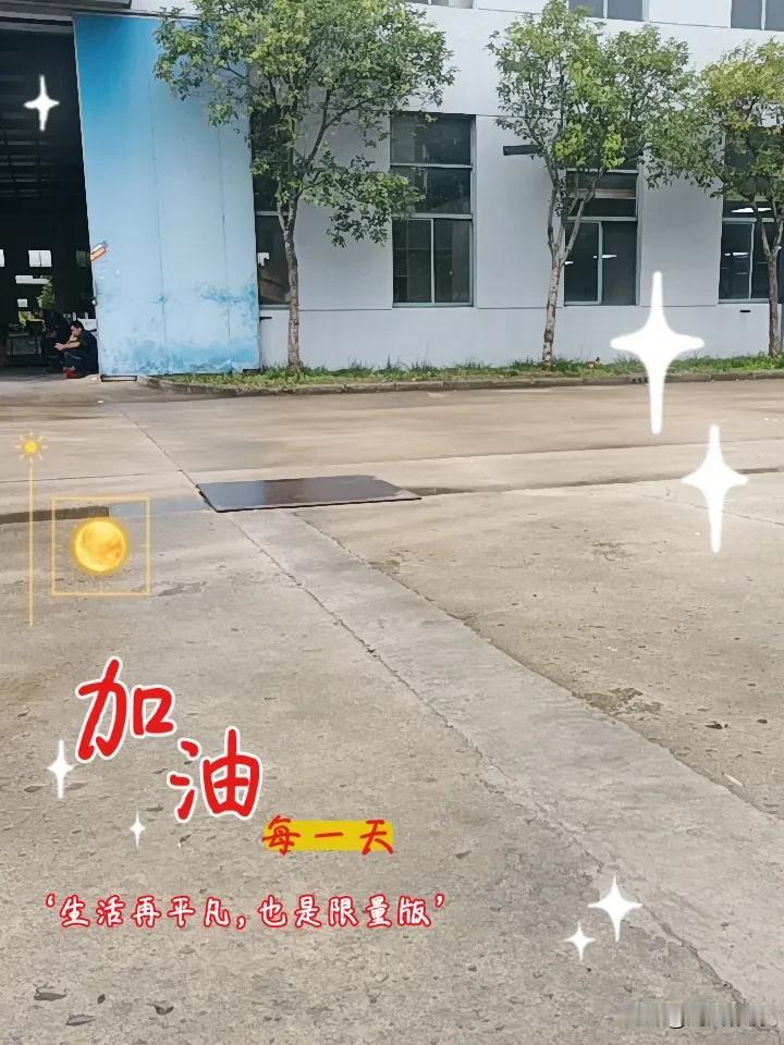 夏日生活打卡季