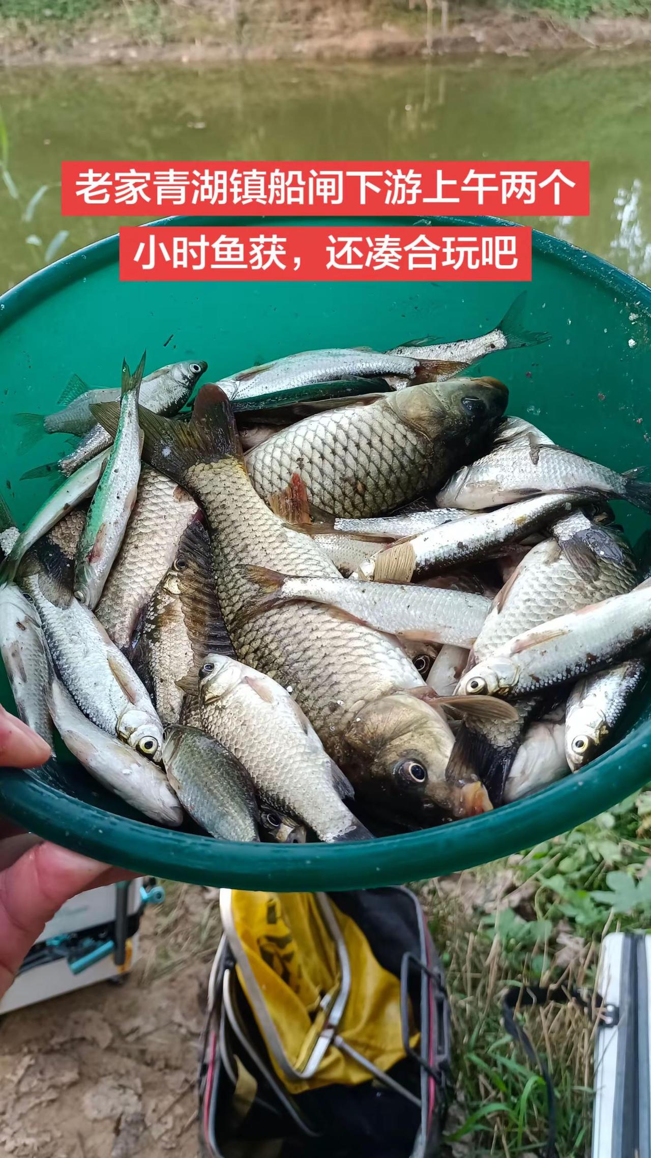 鱼口不是很快，不过环境不错，能玩。钓鱼 钓鱼人