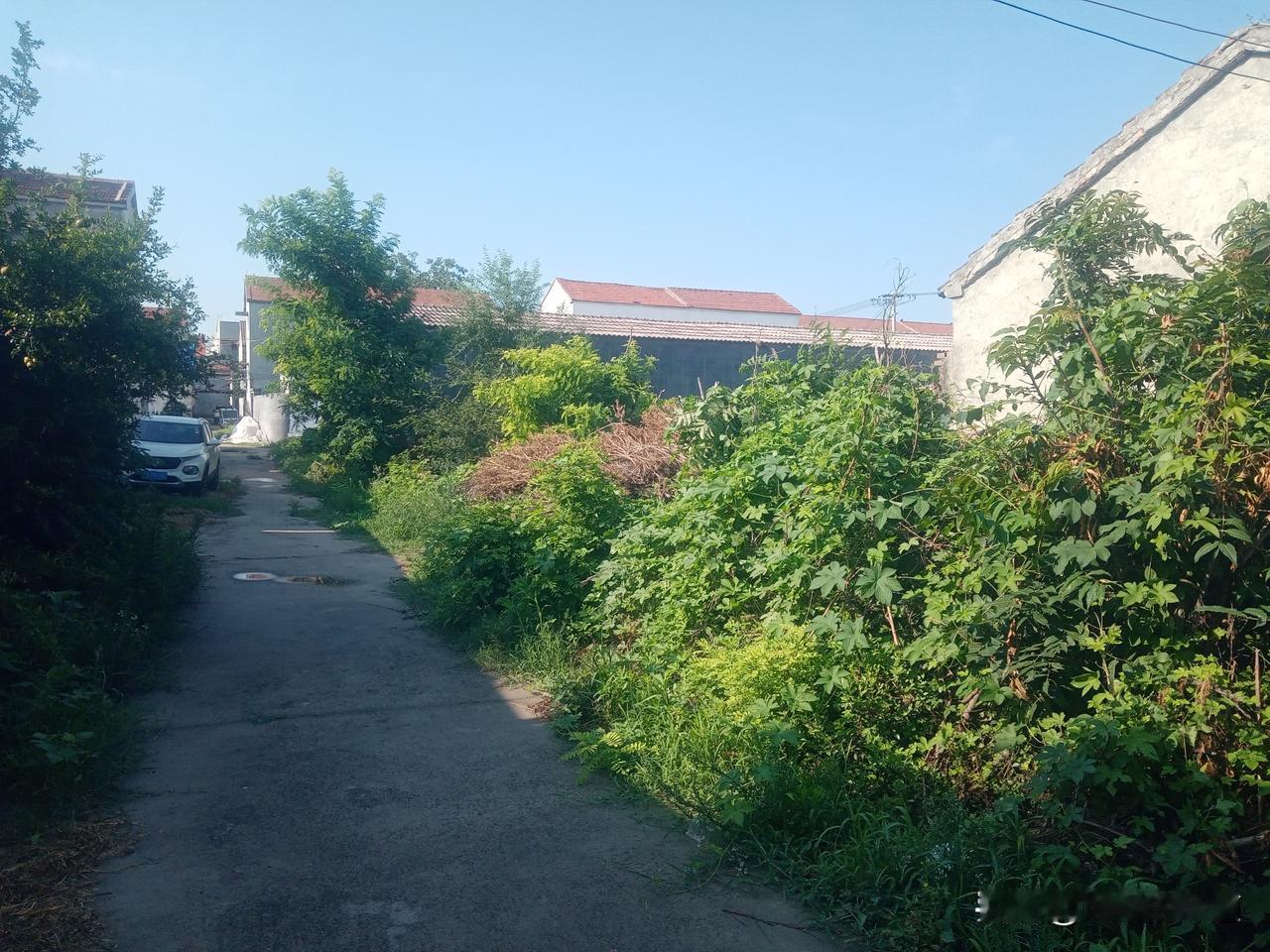 热不热，看入伏
五月入伏凉飕飕，六月入伏汗直流
雨淋入伏头，末伏热死牛
入伏是晴