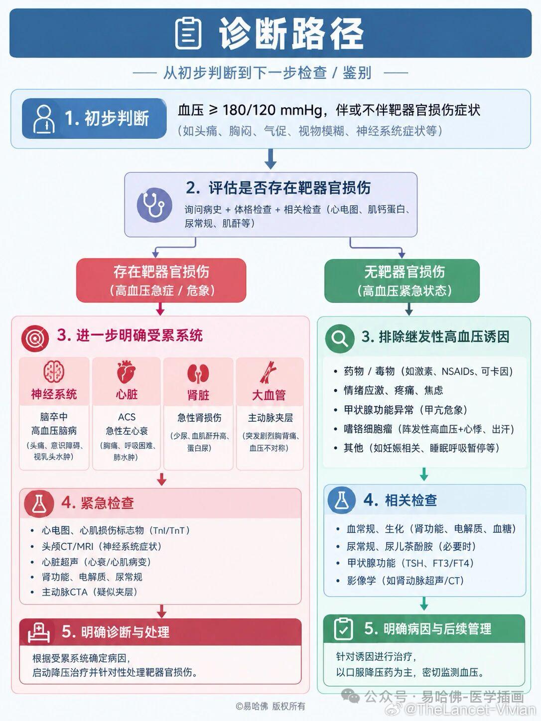 高血压危象的几个关键指标⚠️临床中高血压危象极易混淆类型、看错关键指标、漏掉靶器