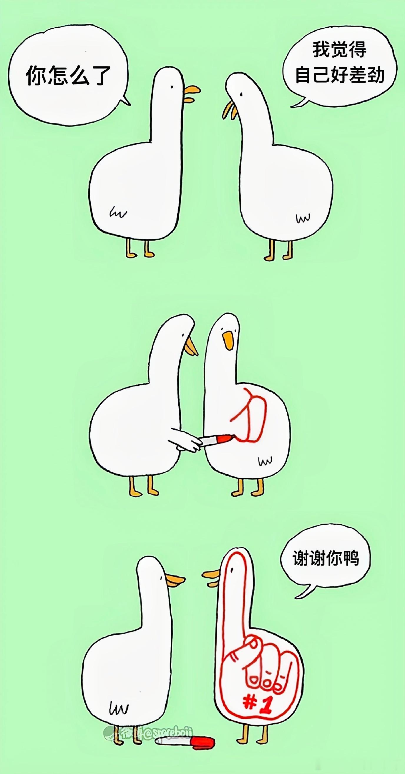 朋友的意义 ​​​