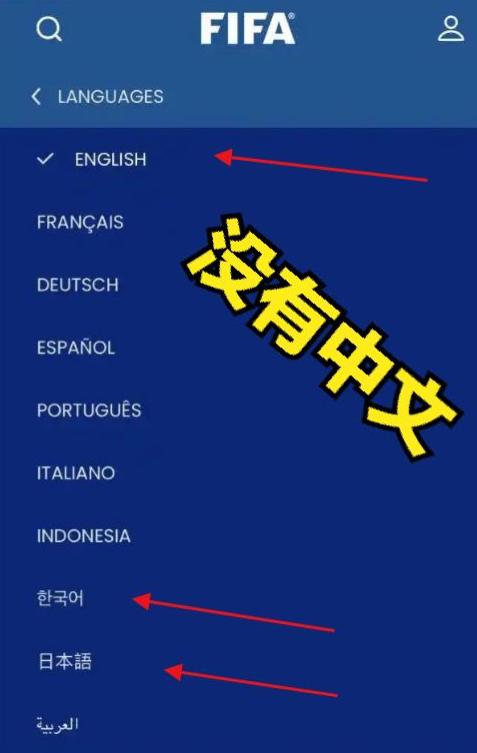 14 亿人被无视！国际足联官网突然删光中文，5 月 10 日，距离 2026 美