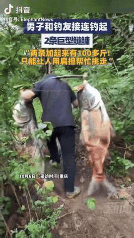 10月7日重庆云阳，一男子和钓友竟然接连钓起2条巨型鲢鳙，重量加起来高达100多