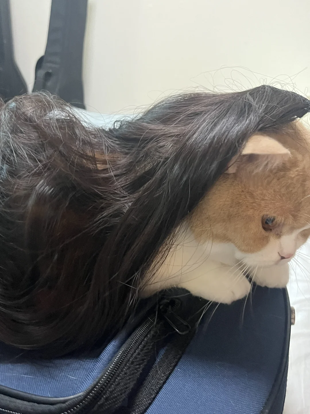 它有一头海藻般的长发