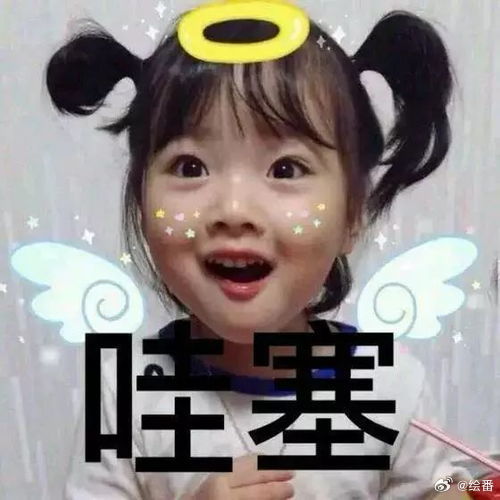 不同分数填志愿时的家长belike 高分家长：群里讨论“清北复交专业优劣”，线下