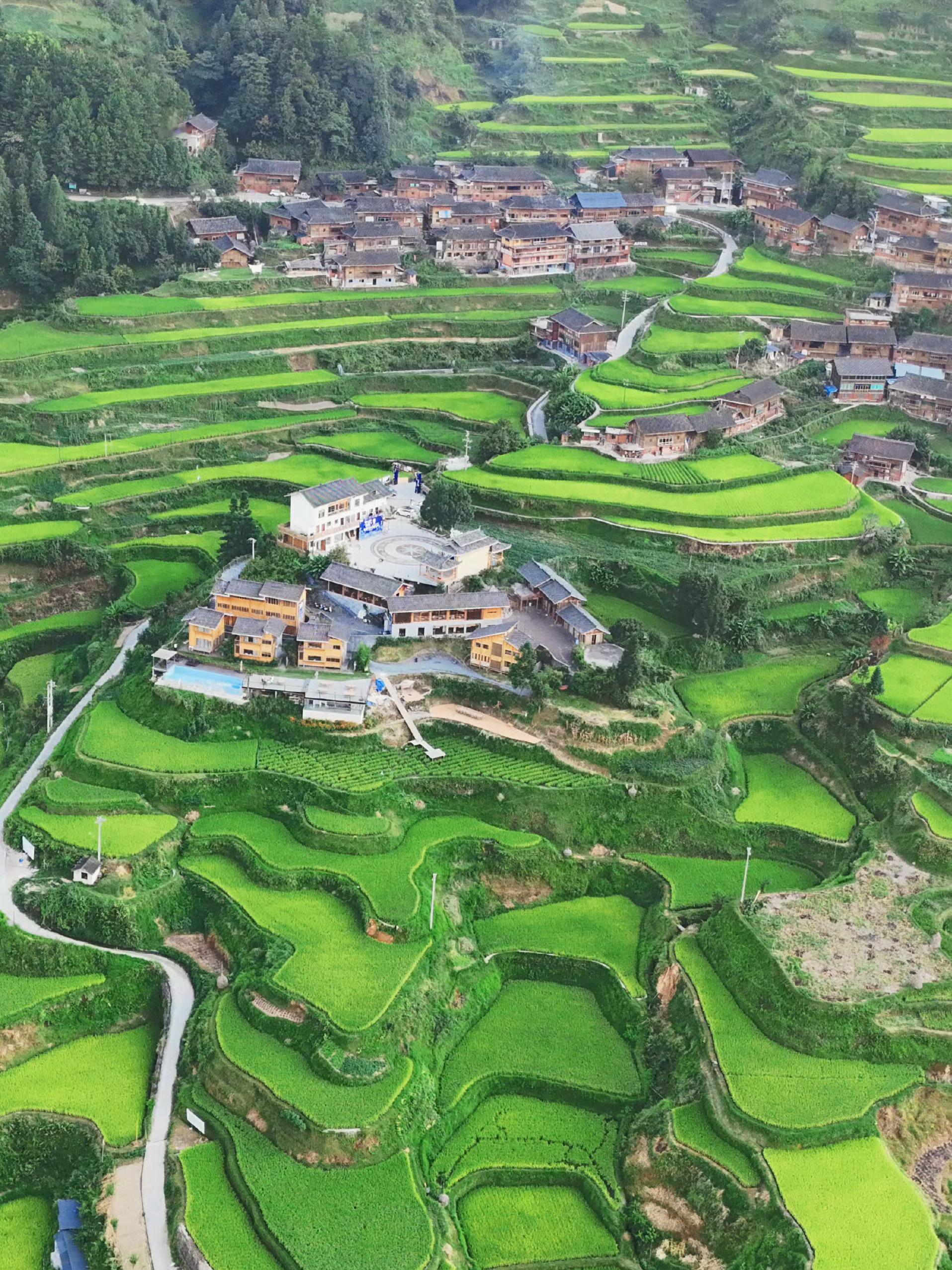 贵州的冬天，既有阳光的温柔，又有民族风的浓烈，午后，躺在铺满落叶的草地上晒太阳，