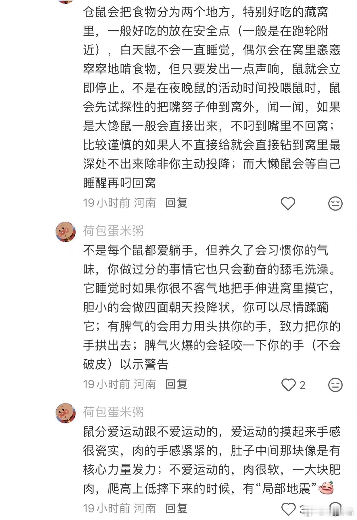 鼠门！！ 