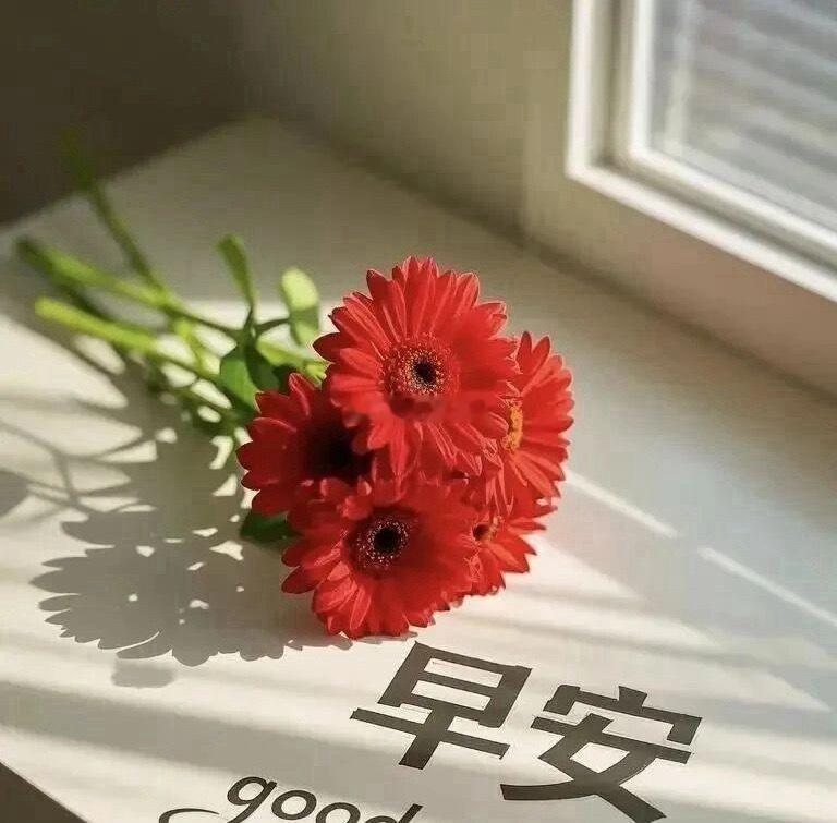 早安！所有的幸运，都源自不懈的坚持， 今天也要元气满满，冲鸭！岑先生[超话] ​