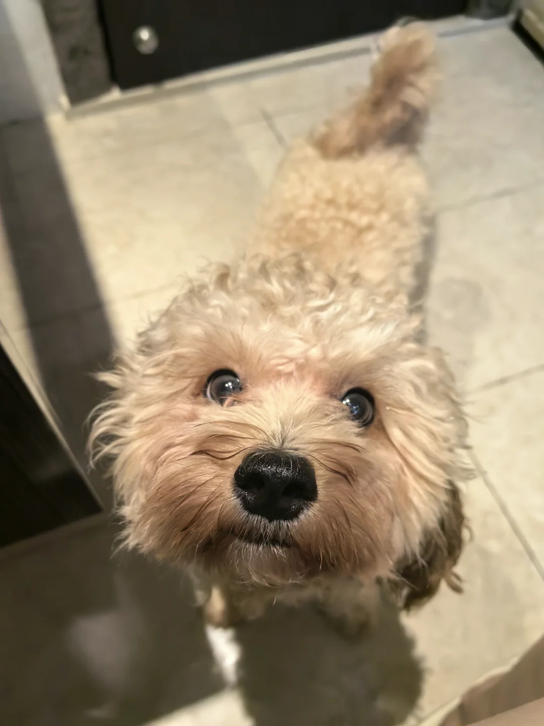 状态写在脸上～