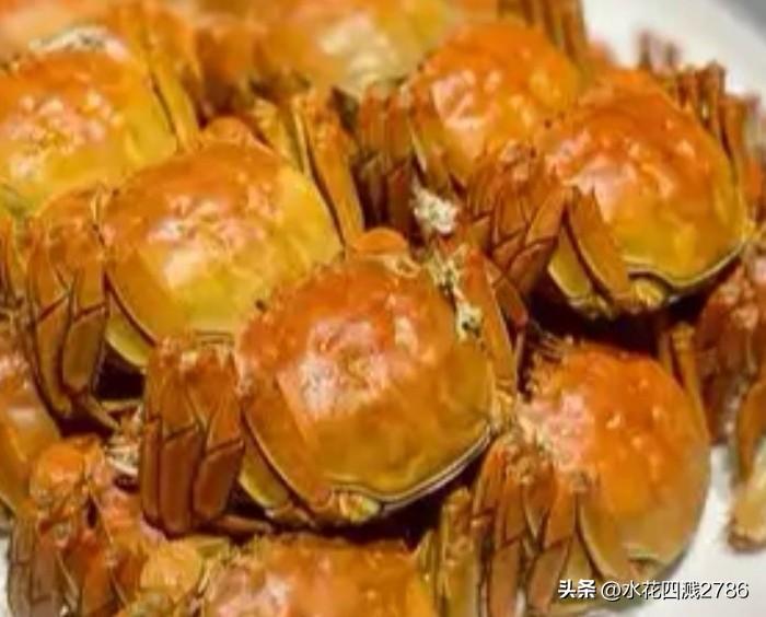 近日，浙江大学玉泉校区食堂因一款“白菜价”螃蟹冲上热搜——仅售8.8元一只！网友