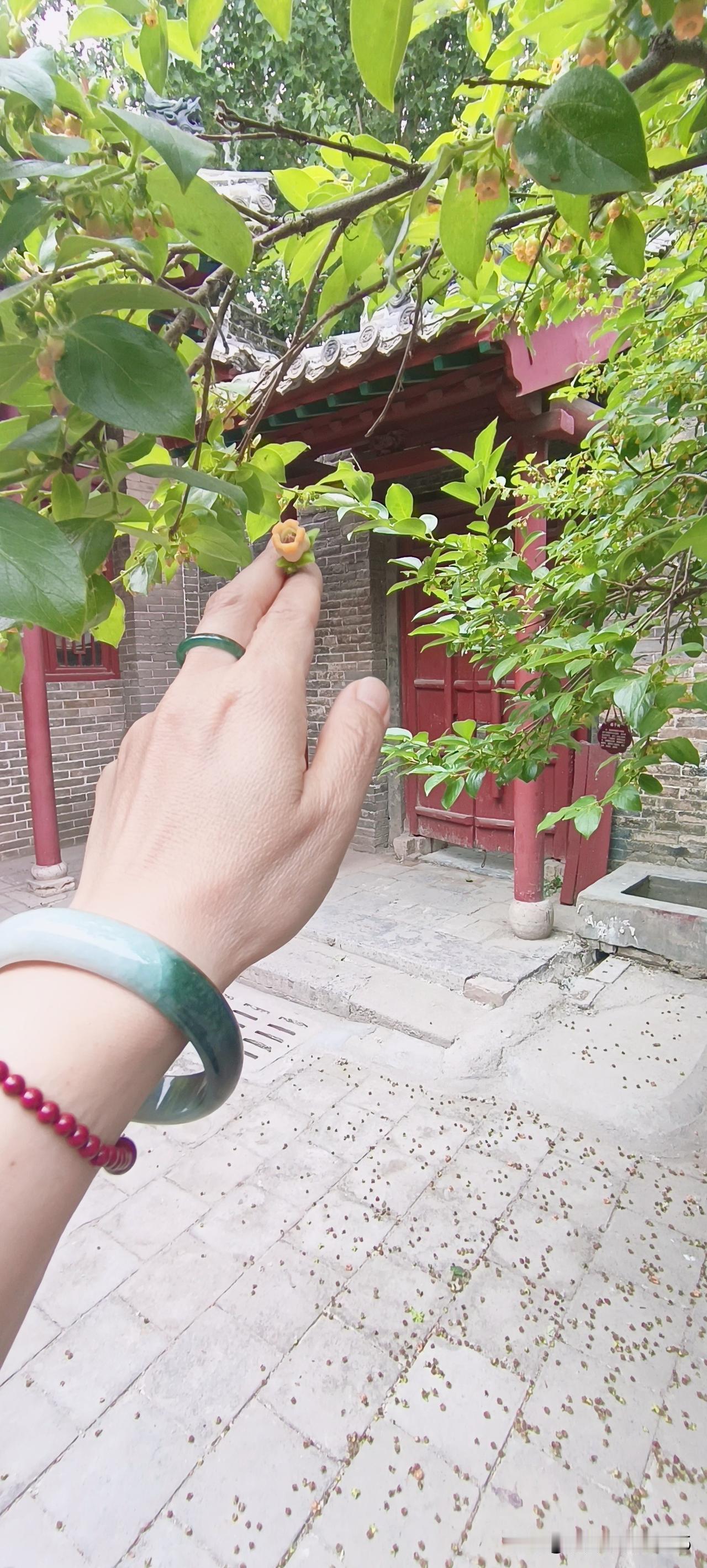 安的什么心？
​       
​        当我做每个角色的时候，我做儿媳