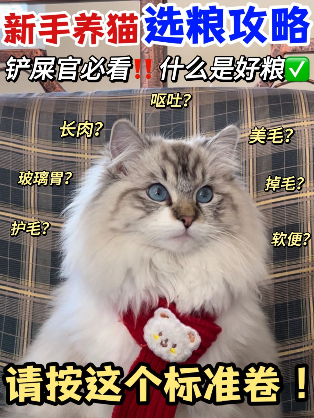 新手养猫！如何选到平价又长肉的猫粮？？