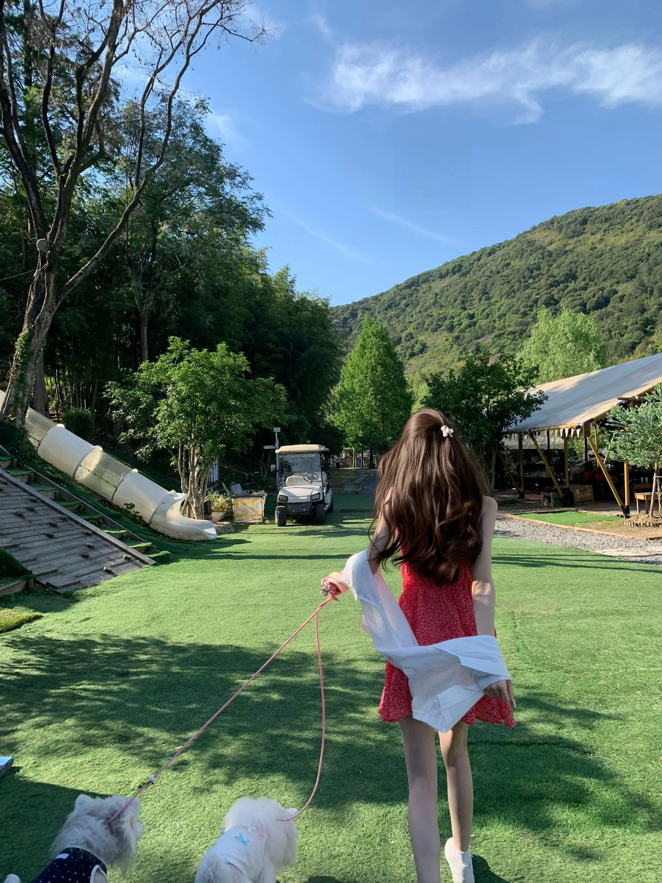 前奏一响 夏天登场
