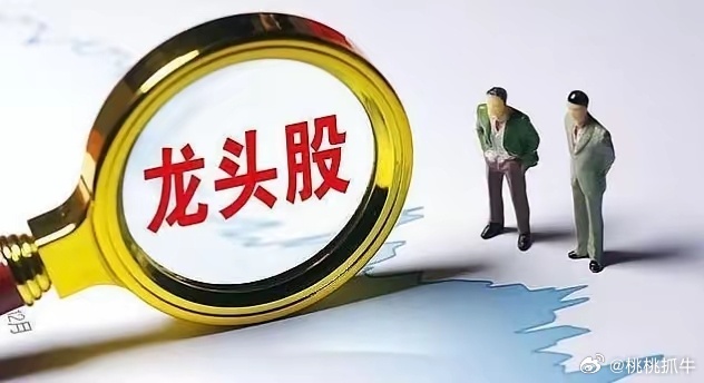 今日涨停龙头股【半导体/芯片】1. TCL中环，11.02元，今日首板，光伏设备