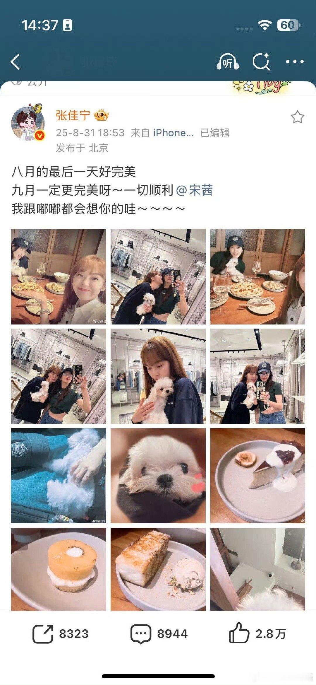 张佳宁日常电子闺蜜感 张佳宁晒出的看书角落好温馨，配文里碎碎念自己的读后感，这种