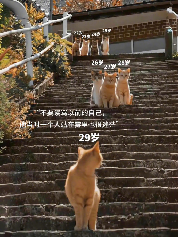不要谩骂以前的自己，他当时一个人站在雾里也很迷茫。 ​​​