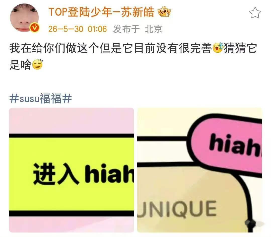 苏新皓猜猜它是啥苏新皓准备的hiahia 超级好的苏新皓！ 