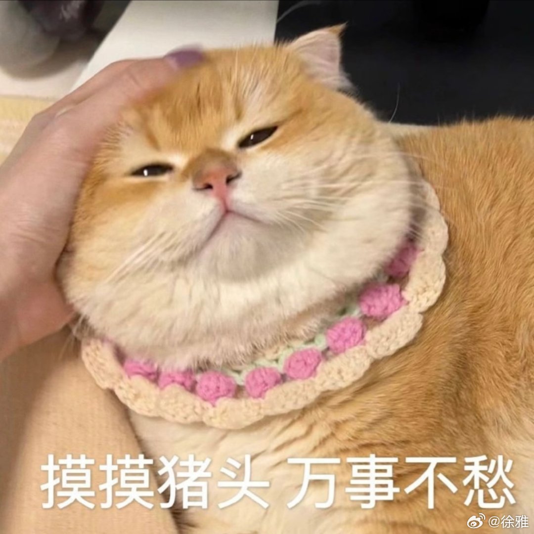 表情包好可爱。 