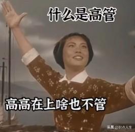 什么是高管？什么是同事？不妨来看看