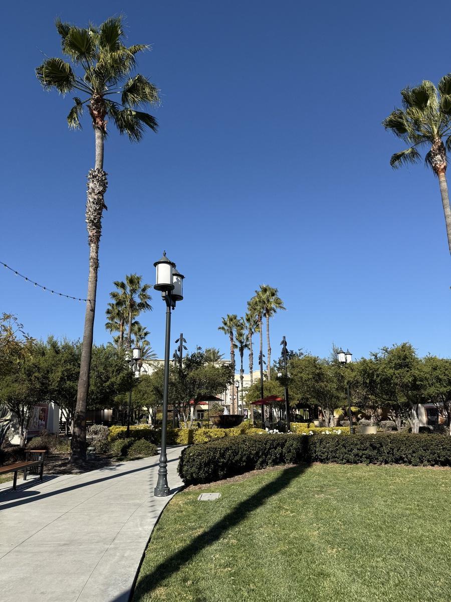 美国防部长：漠视中国军力愚蠢而失敬。分析点评：看上去是在称赞中国军队，实则是在强