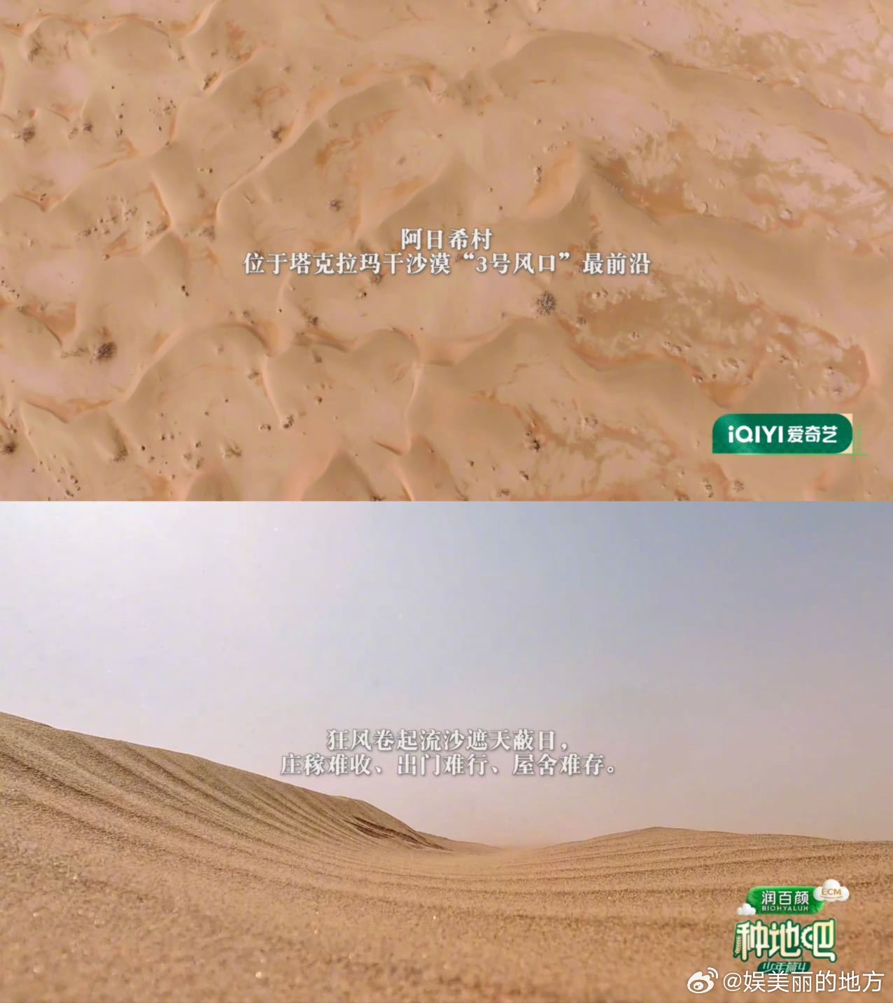 ☀️种地吧专挑苦地方去种地吧沙子打脸烈日灼肤，少年满身沙尘双手粗糙，沉浸式体验治